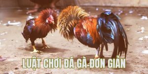 Luật đá gà QQ88 - Yếu tố quyết định giúp bạn chiến thắng 4 luật đá gà